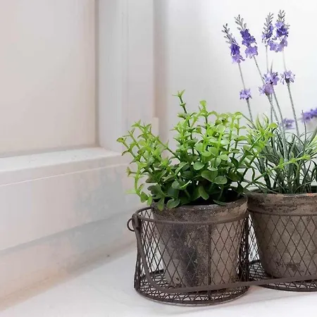 Kuia En Gran Bilbao Con Terraza Y Vistas A Un Parque *